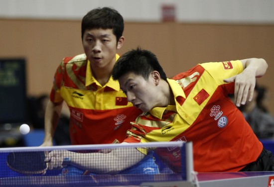 提供了重要 提供了重要